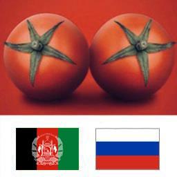 صادرات رب گوجه فرنگی به افغانستان
