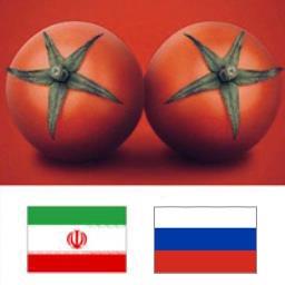 صادرات رب گوجه به روسیه